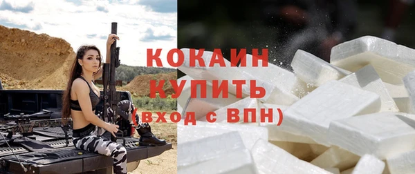 apvp Новозыбков