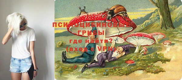 apvp Новозыбков