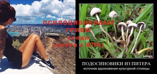 apvp Новозыбков
