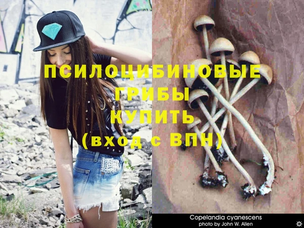 гашишное масло Новодвинск