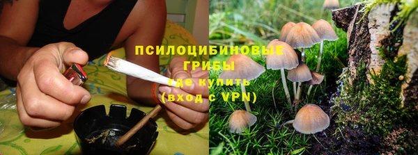 МДПВ Новокубанск