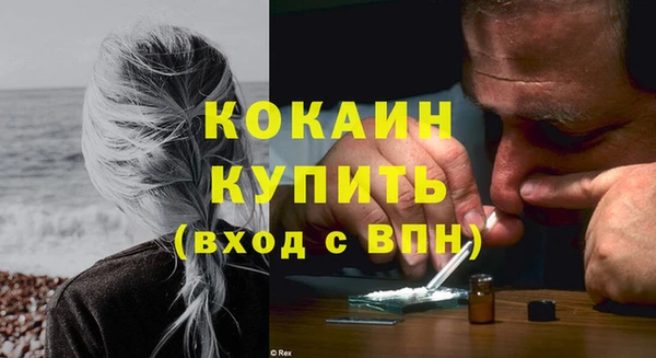 apvp Новозыбков