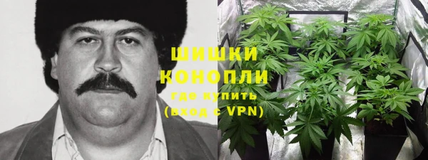 apvp Новозыбков